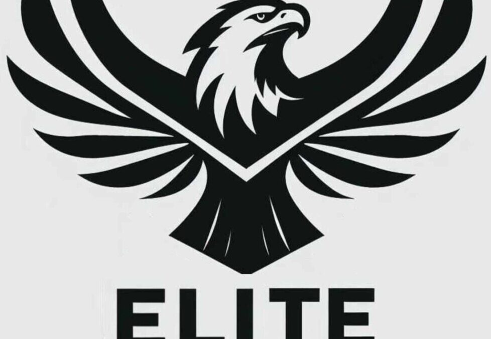 Elite Security International